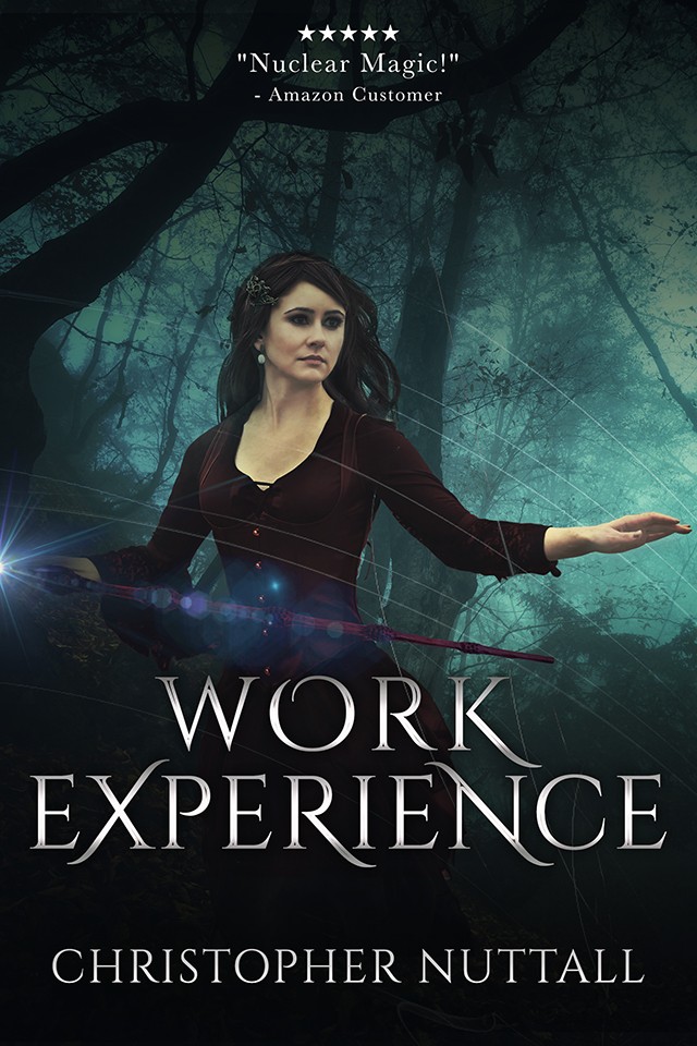 Work Experience - Schooled in Magic - Book 4